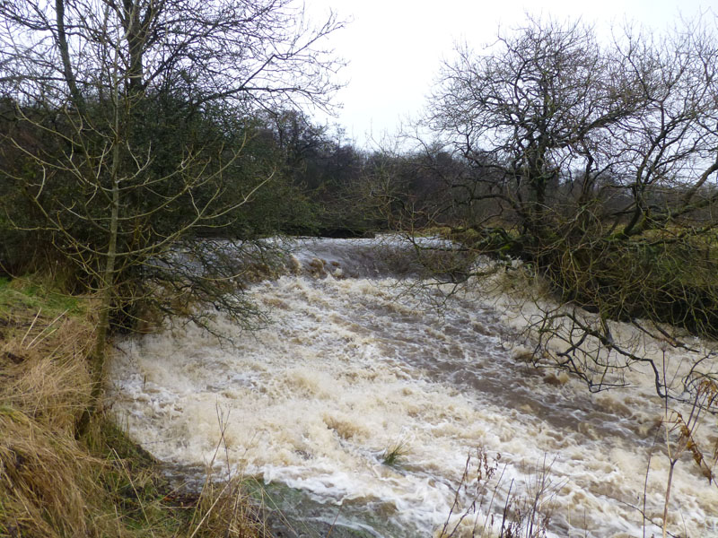 Weir on Colne Water