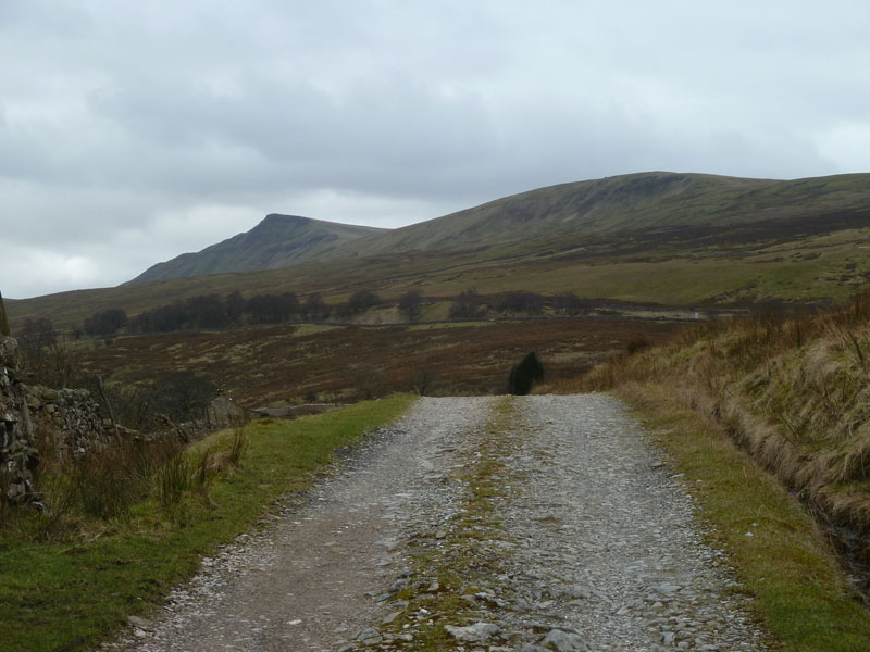 View to Wild Boar Fell