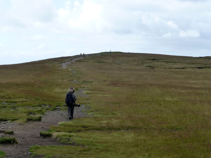 To Pendle Summit