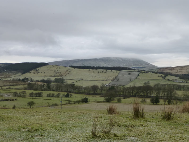 Pendle from Roughlee