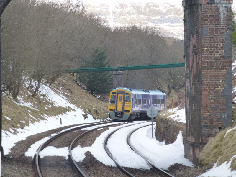 Dent Train