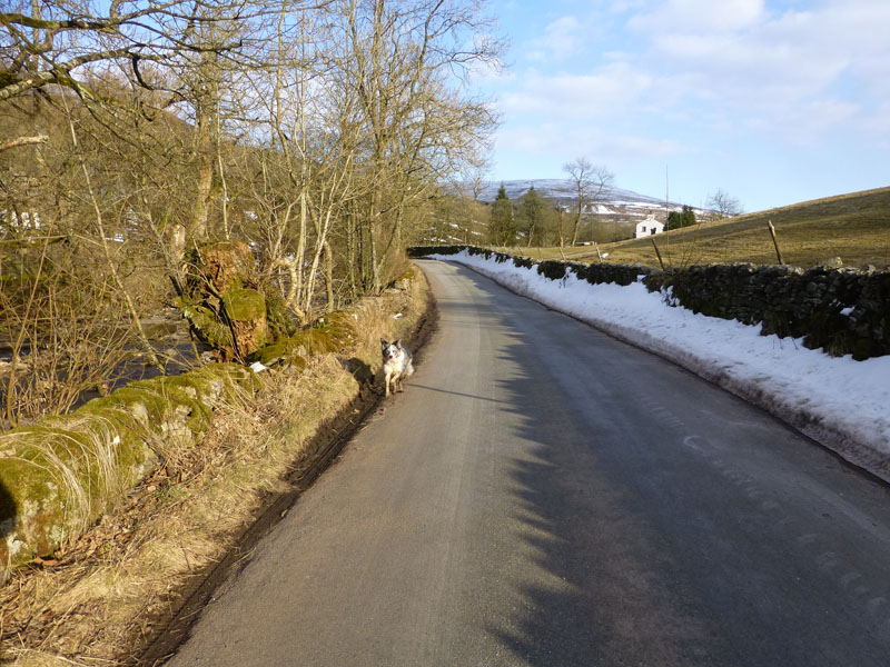Dent Road