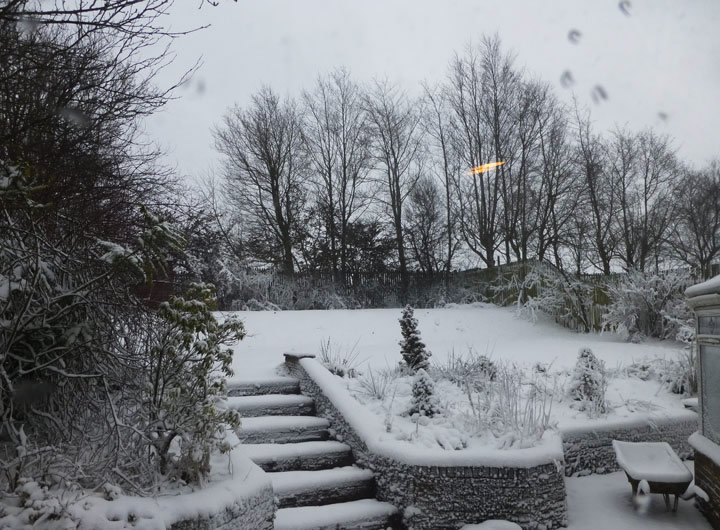 The Back Garden