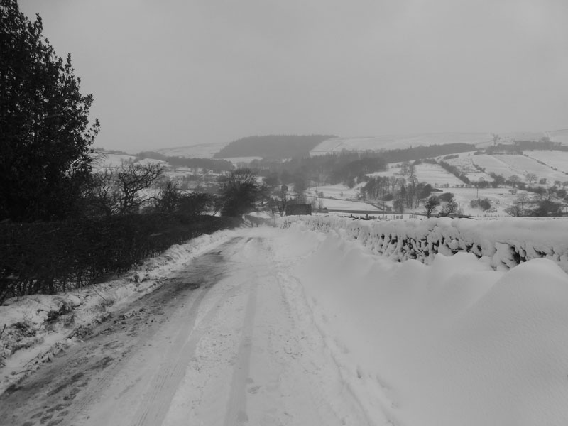 Ridge Lane