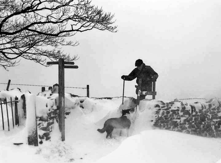 Snowy Scene