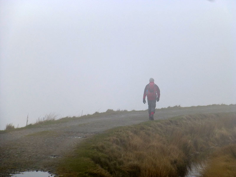 Pennine Walker