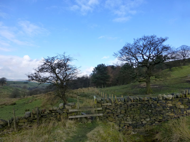 Whittaker Woods