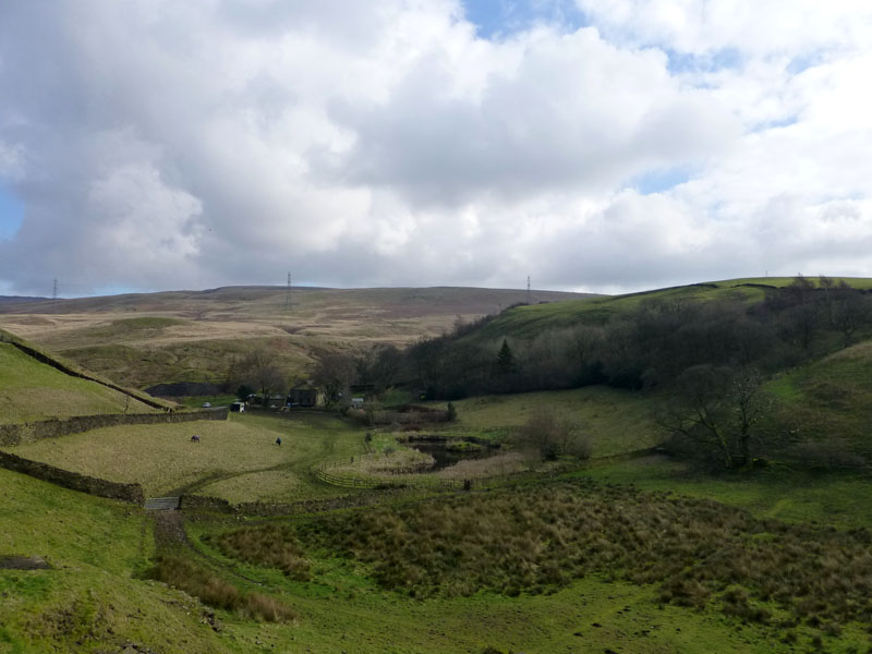 Syke Farm