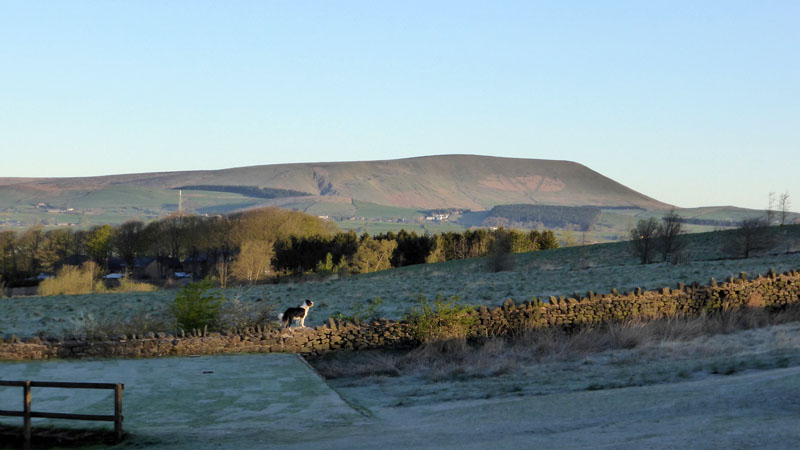 Pendle Morning