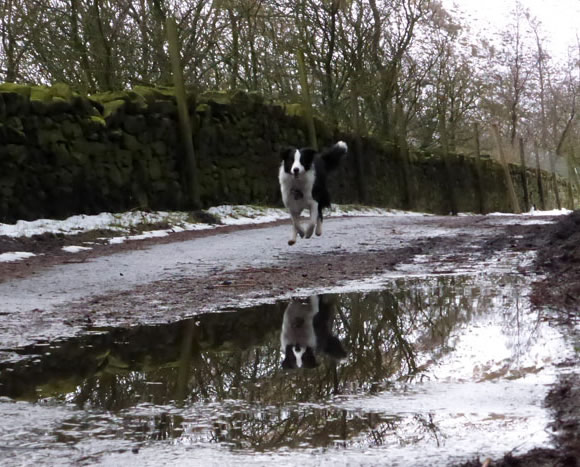 Molly Running