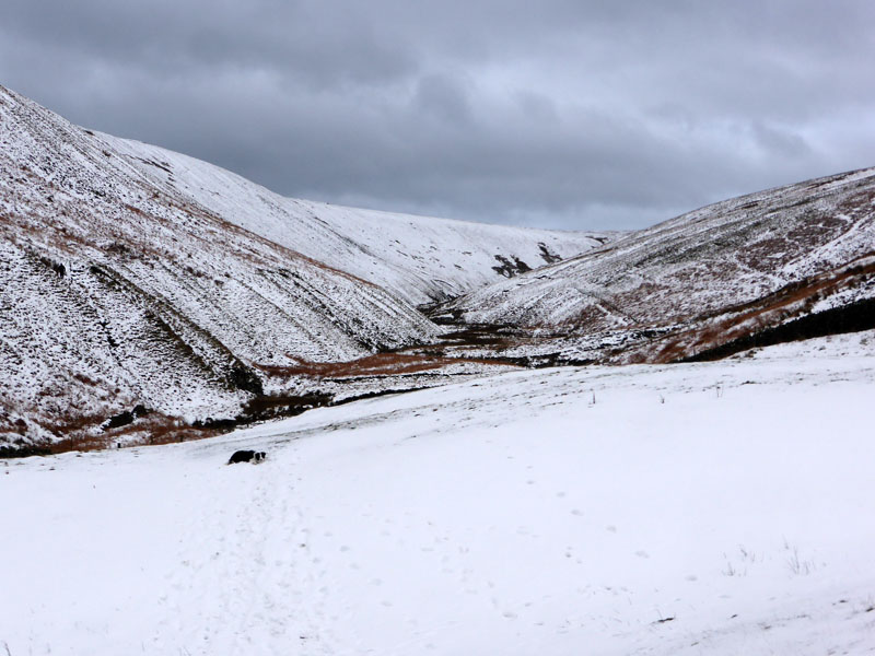Ogden Clough