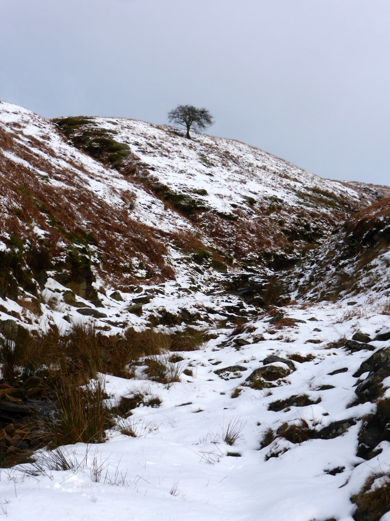 Boar Clough