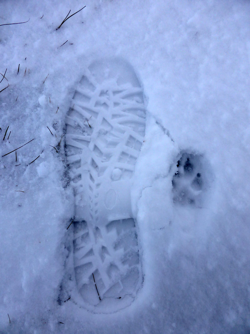 Footprints