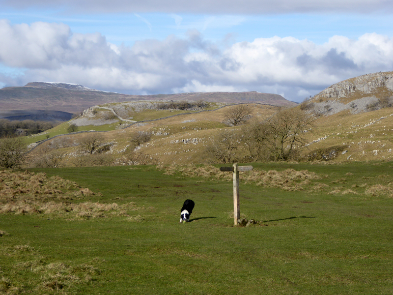 Feizor Thwaite