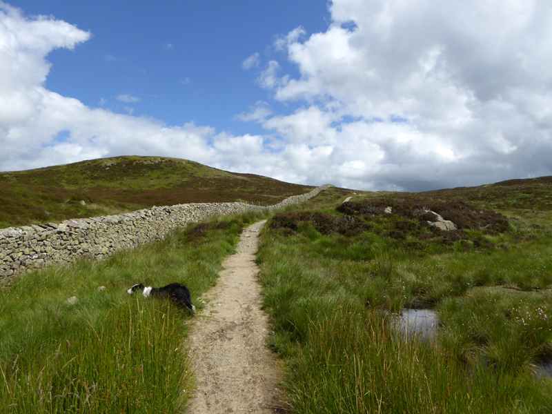 Gowbarrow Ascent