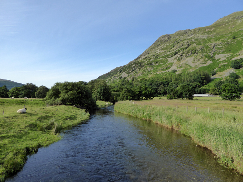 Goldrill Beck