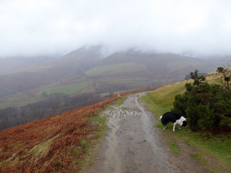 Latrigg descent