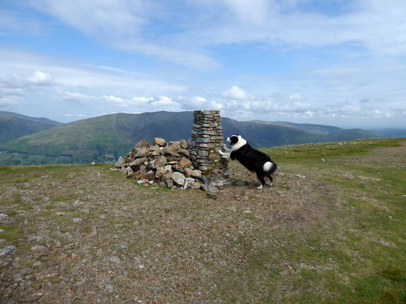 Molly on top of Clough Head