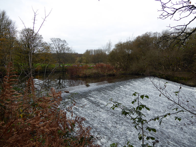 River Croal Weir