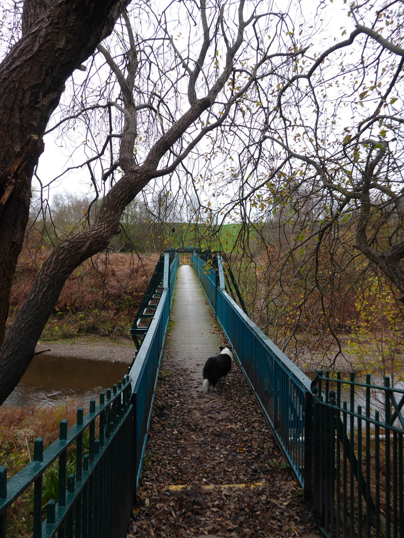 Irwell footbridge