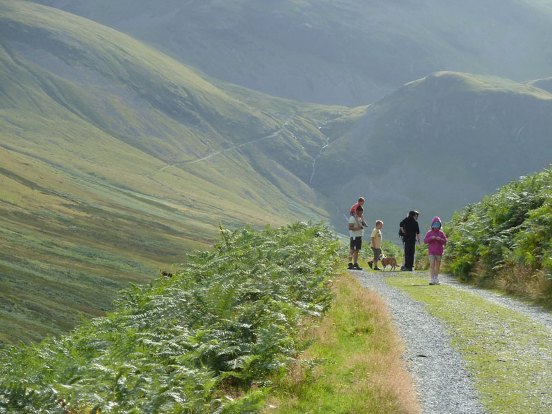 Coledale