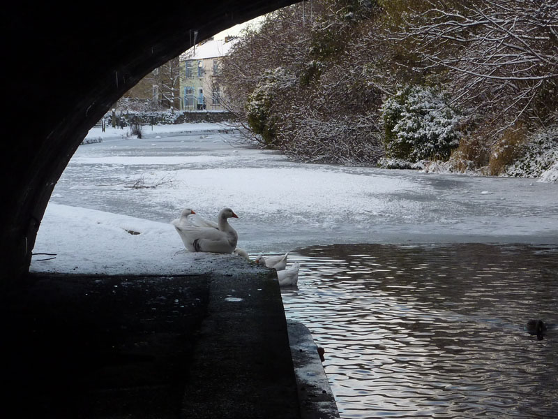 Canal