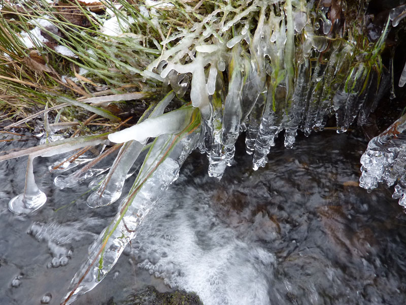 Ice
