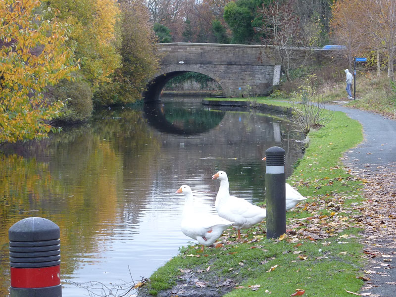 Burnley Canal