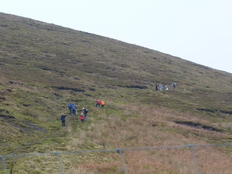 Pendle Steps