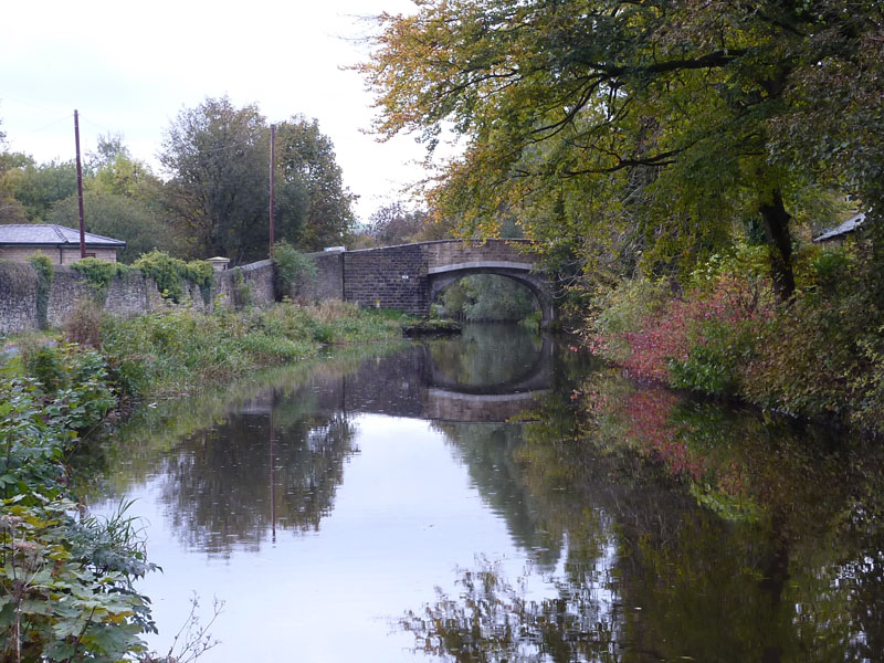 Robinson Lane