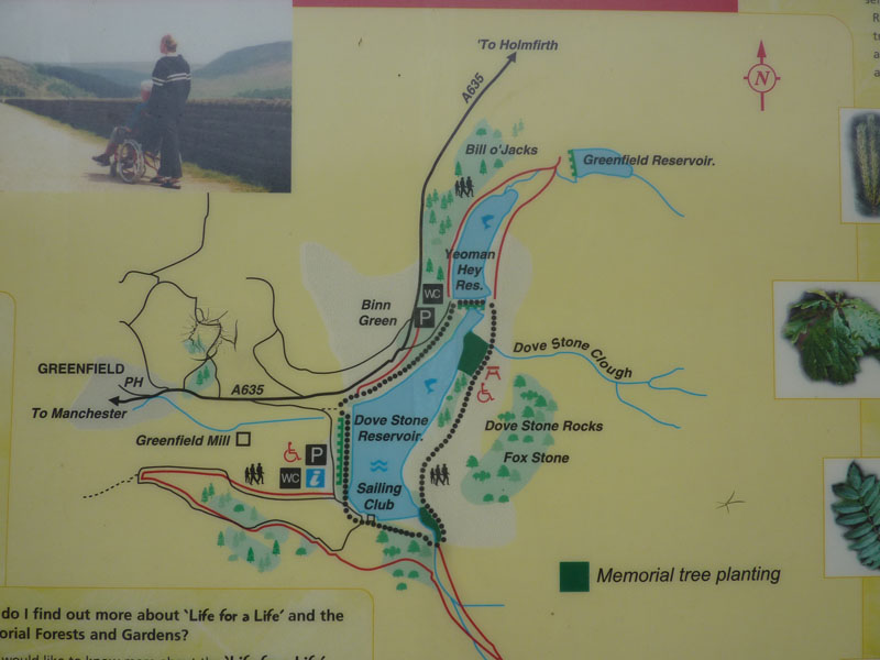 Dovestone