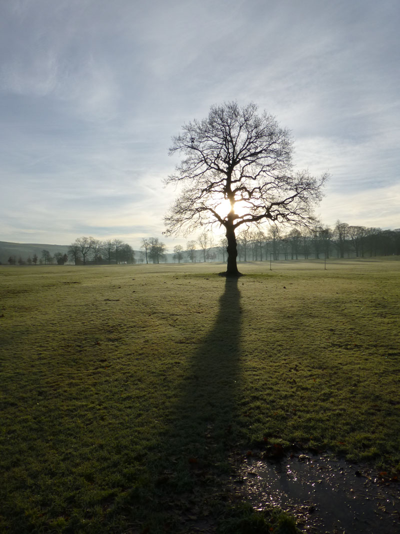Early morning at Towneley