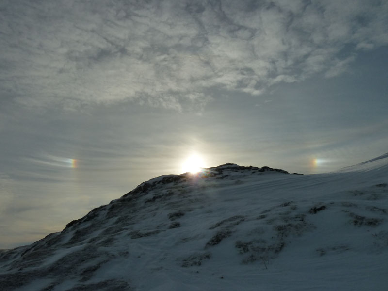 Icebows