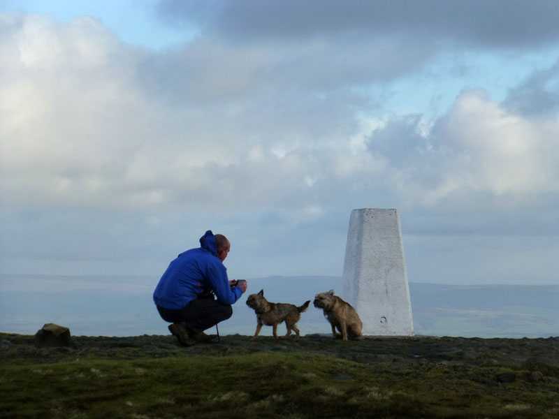Dogs on Pendle