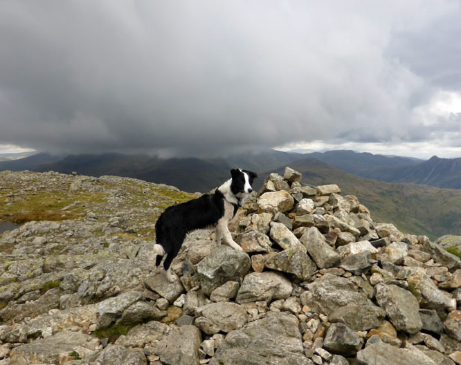 Molly on top of Wetherlam