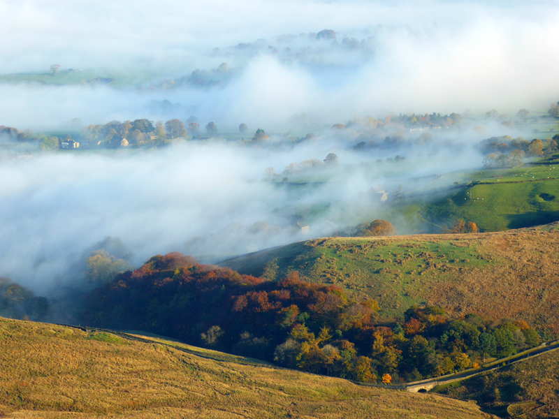 Ribble Valley Mist