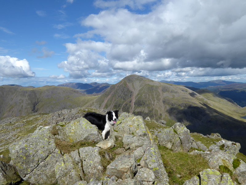 Molly on Lingmell