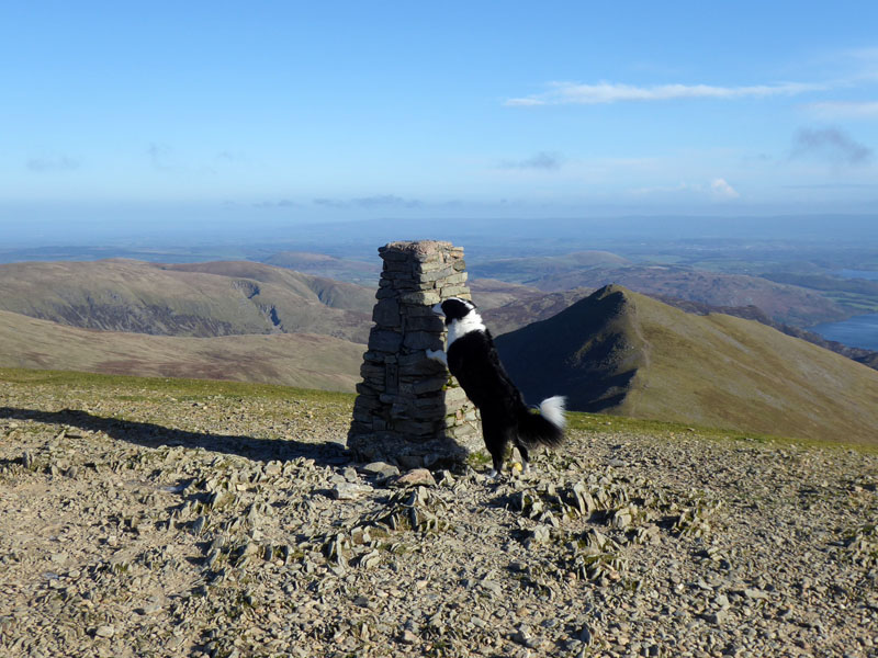 Molly on top of Helvellyn