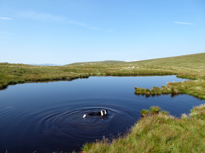 Mardale Ill Bell Pool