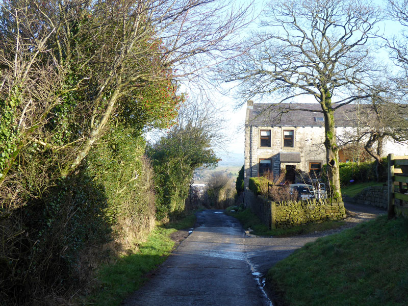 Folly Lane