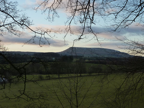Pendle Hill View